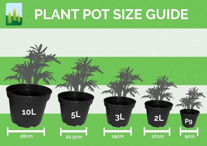 Plant pot sizes chart