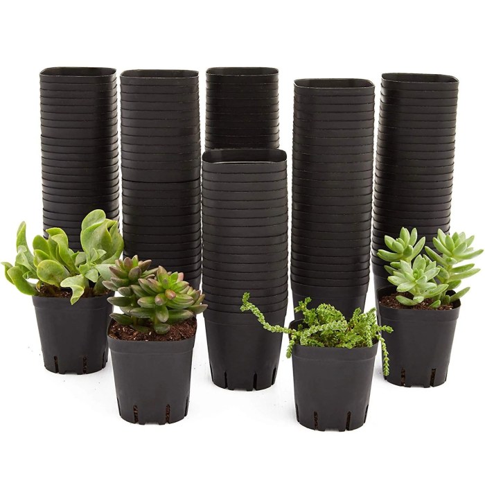 Amazon garden plant pots