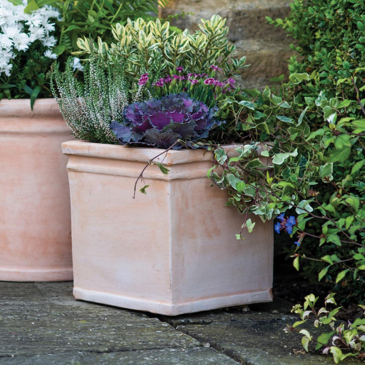 Cheap Terracotta Plant Pots A Complete Guide