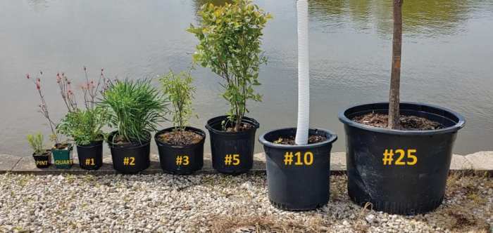 Plant nursery pot sizes